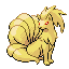 Pokémon #38 RFVF